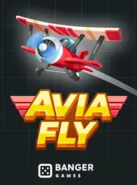 Avia Fly Avia Fly crash at EX66 COM